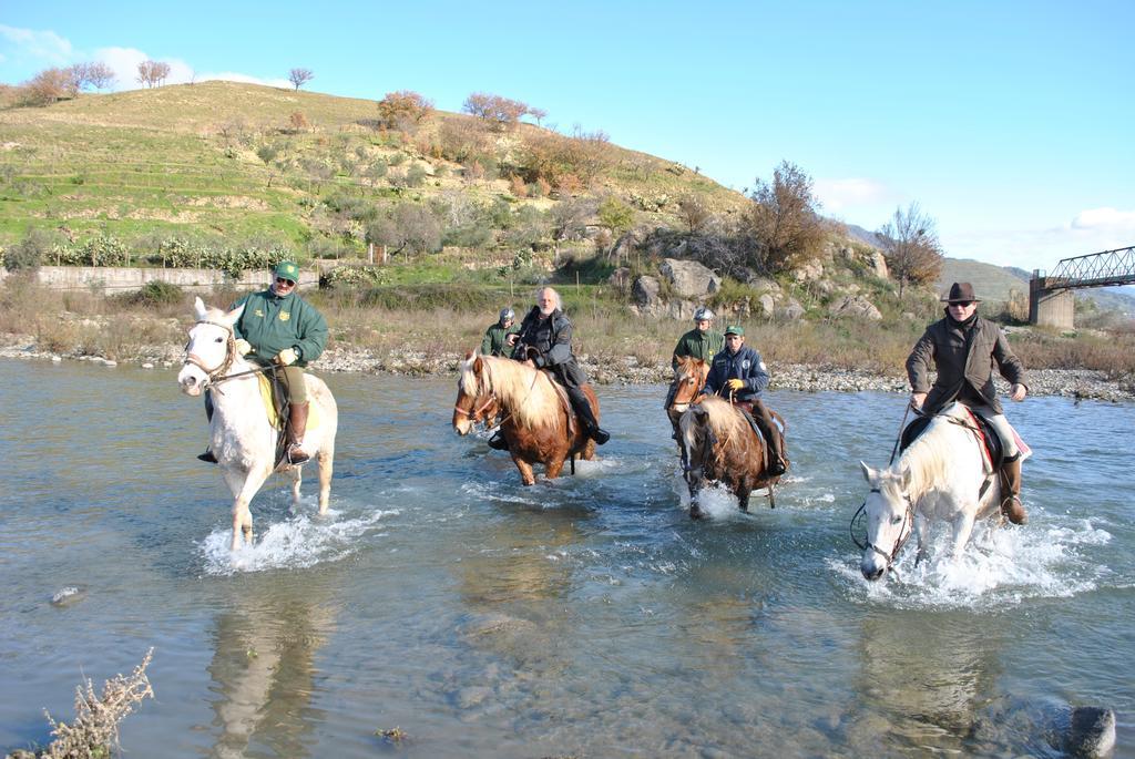 Farm stay Agriturismo Borgo San Nicolao Randazzo