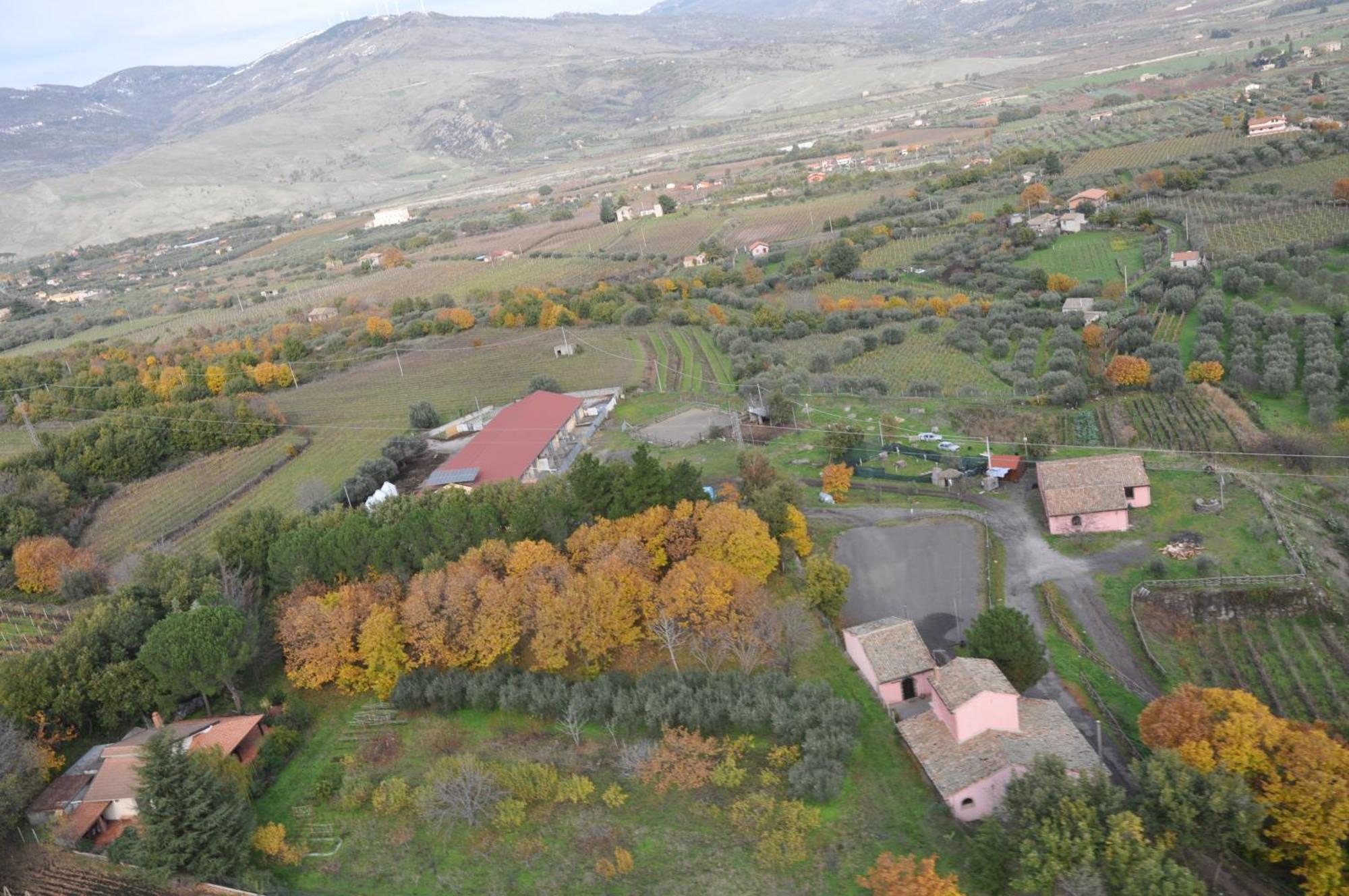Farm stay Agriturismo Borgo San Nicolao *